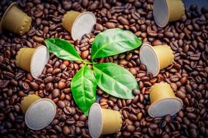 granos de café recién tostados foto