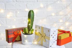 Funny cactus in shape of male penis in fairy lights, gift box, Christmas and New year decor. There will be no holiday without gifts. Intimate depilation for men. Potted house plants, home decor photo
