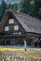 shirakawa, gifu, japón - octubre de 2022 - granjero japonés no identificado con antecedentes de la aldea de shirakawago durante el otoño con una casa triangular, un campo de arroz y una montaña de pinos. foto