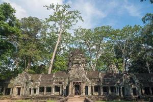 la vista del paisaje del árbol spung gigante y el templo ta prohm en siem reap, camboya. foto