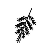 Christmas tree branch doodle. Fir twig element of new year and xmas. Sprig spruce line art isolated on white background. Hand drawn outline vector illustration.