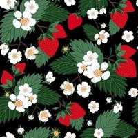 Strawberry flowers field seamless pattern in black background vector