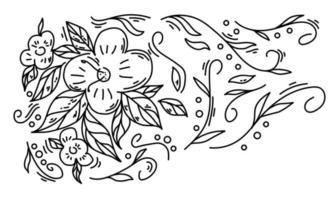 hand drawn flower illustration vector