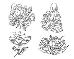 Set of flower nature ornament vector black outline sketch