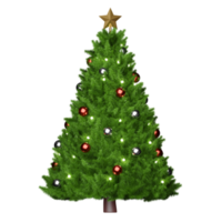 Christmas tree icon png