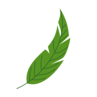 Simple banana leaf illustration for nature design element png