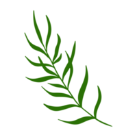 tropisk blad illustration för grön design element png