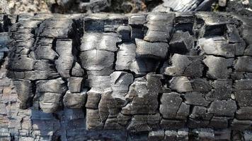 Burnt wooden log. Charred wood left in fire pit. Charcoal black background. Selective focus, close up. photo