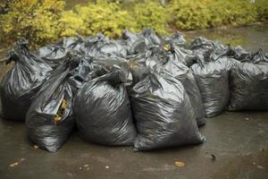Black garbage bags. Many black packages. Cleaning in yard. photo