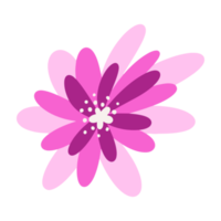 Beautiful flower illustration for design element png