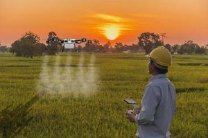 drones agrícolas vuelan para rociar fertilizantes en los campos de arroz. foto