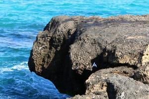 rocas a orillas del mar mediterráneo en el norte de israel. foto