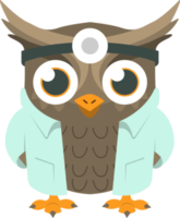 Doctor Owl PNG Illustration