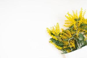 Spring yellow flower mimosa on white background. Natural spring background with copy space. Easter decoration. Top view Flat Lay photo