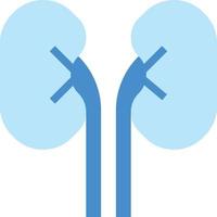 kidney organ healthcare medical - flat icon vector