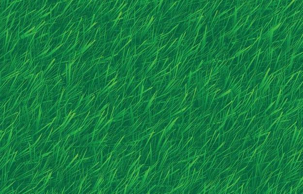 Green Texture Background