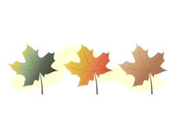 collection of colorful autumn leaves. autumn warm and bright colors vector