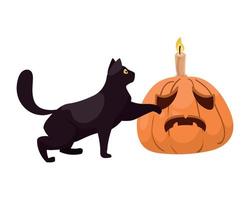 halloween cat with pumpkin vector