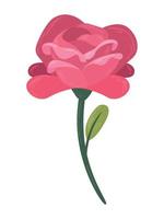 jardín de flores de rosa fucsia vector