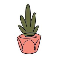 houseplant in pot vector