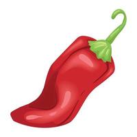 red chili pepper vegetable vector