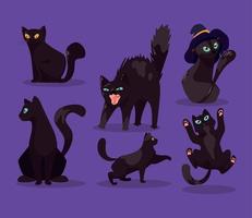 seis gatos negros mascotas vector