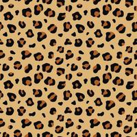 Vector illustration of seamless leopard pattern