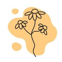 Minimal chamomile line art vector