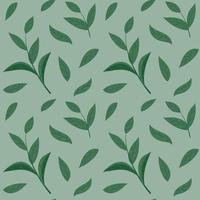 Seamless pattren with twigs and leaves of green tea. Vector image.