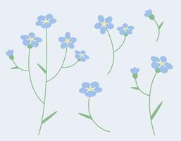 Set of myosotis design elements. Wildflowers in flat style. vector