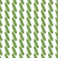 Graphic tropical pattern, palm leaves seamless floral background. vector