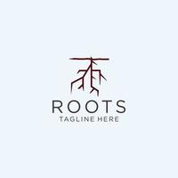 abstract root  vector logo design template