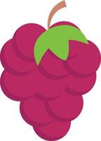 grapes vector illustration on a background.Premium quality symbols.vector icons for concept and graphic design.