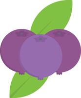 blueberry vector illustration on a background.Premium quality symbols.vector icons for concept and graphic design.