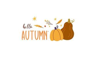 hola temporada de calabaza. vector de letras dibujadas a mano de otoño con calabazas, castaños y hojas. Hal