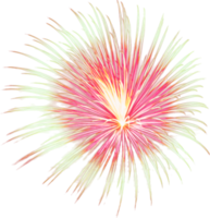 verbazingwekkend mooi vuurwerk geïsoleerd voor viering verjaardag vrolijk Kerstmis vooravond en gelukkig nieuw jaar png