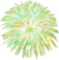 Amazing Beautiful firework isolated for celebration anniversary merry christmas eve and happy new year png