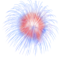 Amazing Beautiful firework isolated for celebration anniversary merry christmas eve and happy new year png