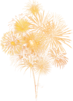 Amazing Beautiful firework isolated for celebration anniversary merry christmas eve and happy new year png