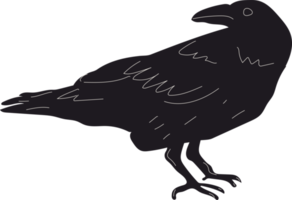 cuervo negro o pájaro cuervo. vista lateral. estilo de dibujos animados, diseño plano. halloween, concepto de terror. dibujado a mano de moda aislado. logotipo, impresión, plantilla de diseño png