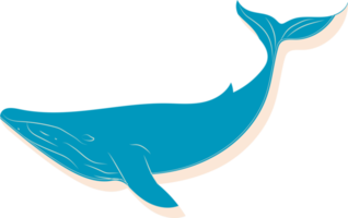 conception d'animal de dessin animé de grande baleine bleue plus grand mammifère sur la terre illustration plate isolée sur fond. style de dessin animé plat moderne. png