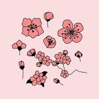 Pink Plum Flowers vector