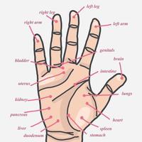 puntos de acupuntura de la mano vector