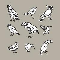 Doodled Collection of Birds vector
