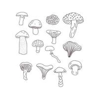 Thin Mushroom Doodles vector