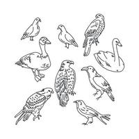 dibujos en blanco y negro de aves vector
