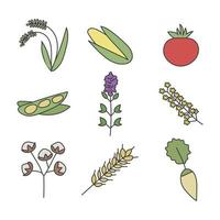 iconos de flores y frutas vector