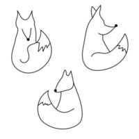 Outline vector fox illustration, foxes set for creativity and design