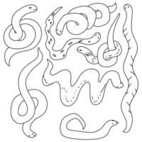 Set of contours of snakes, simple linear silhouettes of reptiles in various poses, coloring page vector