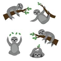 Set of sloths in various poses sitting on branches or surface, lazy animal of gray color in flat style vector